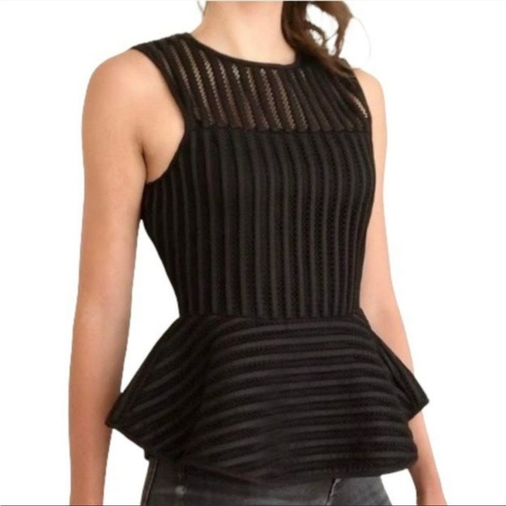 HD in Paris Mesh Peplum Top